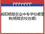 咸阳杨陵农业中专学校哪里有(杨陵农校在哪)