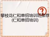 攀枝花仁和单招培训班推荐(仁和单招培训)