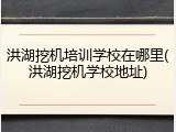 洪湖挖机培训学校在哪里(洪湖挖机学校地址)