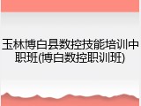 玉林博白县数控技能培训中职班(博白数控职训班)