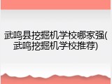 武鸣县挖掘机学校哪家强(武鸣挖掘机学校推荐)
