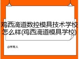 鸡西滴道数控模具技术学校怎么样(鸡西滴道模具学校)