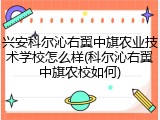 兴安科尔沁右翼中旗农业技术学校怎么样(科尔沁右翼中旗农校如何)