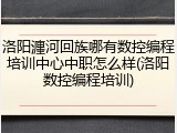 洛阳瀍河回族哪有数控编程培训中心中职怎么样(洛阳数控编程培训)