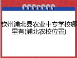 钦州浦北县农业中专学校哪里有(浦北农校位置)