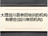 大理剑川县单招培训的机构有哪些(剑川单招机构)