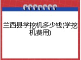 兰西县学挖机多少钱(学挖机费用)