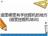 道里哪里有学挖掘机的地方(道里挖掘机培训)