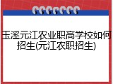 玉溪元江农业职高学校如何招生(元江农职招生)