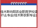 佳木斯向阳农业职高学校读什么专业(佳木斯农职专业)