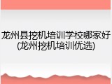 龙州县挖机培训学校哪家好(龙州挖机培训优选)