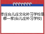 枣庄台儿庄文化补习学校是哪一家(台儿庄补习学校)