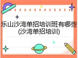 乐山沙湾单招培训班有哪些(沙湾单招培训)
