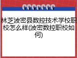 林芝波密县数控技术学校职校怎么样(波密数控职校如何)