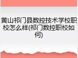 黄山祁门县数控技术学校职校怎么样(祁门数控职校如何)