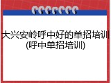 大兴安岭呼中好的单招培训(呼中单招培训)