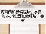 陇南西和县编程培训学费一般多少钱(西和编程培训费用)