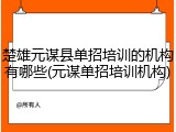 楚雄元谋县单招培训的机构有哪些(元谋单招培训机构)