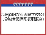 合肥庐阳农业职高学校如何报名(合肥庐阳农职报名)