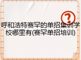 呼和浩特赛罕的单招集训学校哪里有(赛罕单招培训)