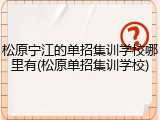 松原宁江的单招集训学校哪里有(松原单招集训学校)