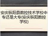 安庆枞阳县数控技术学校中专还是大专(安庆枞阳数控学校)