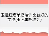 玉溪红塔单招培训比较好的学校(玉溪单招培训)