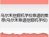 乌尔禾挖掘机学校靠谱的推荐(乌尔禾靠谱挖掘机学校)
