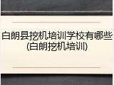 白朗县挖机培训学校有哪些(白朗挖机培训)