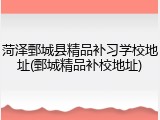 菏泽鄄城县精品补习学校地址(鄄城精品补校地址)