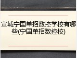 宣城宁国单招数控学校有哪些(宁国单招数控校)