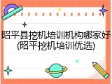 昭平县挖机培训机构哪家好(昭平挖机培训优选)
