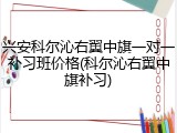 兴安科尔沁右翼中旗一对一补习班价格(科尔沁右翼中旗补习)