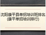 沈阳康平县单招培训班排名(康平单招培训排行)