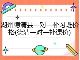 湖州德清县一对一补习班价格(德清一对一补课价)