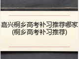 嘉兴桐乡高考补习推荐哪家(桐乡高考补习推荐)