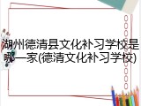 湖州德清县文化补习学校是哪一家(德清文化补习学校)