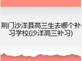 荆门沙洋县高三生去哪个补习学校(沙洋高三补习)