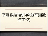 平湖数控培训学校(平湖数控学校)