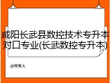 咸阳长武县数控技术专升本对口专业(长武数控专升本)