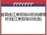宜昌枝江单招培训机构哪家好(枝江单招培训优选)