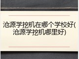沧源学挖机在哪个学校好(沧源学挖机哪里好)