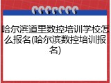哈尔滨道里数控培训学校怎么报名(哈尔滨数控培训报名)