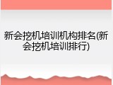 新会挖机培训机构排名(新会挖机培训排行)