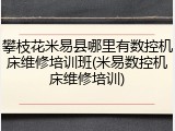 攀枝花米易县哪里有数控机床维修培训班(米易数控机床维修培训)