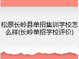 松原长岭县单招集训学校怎么样(长岭单招学校评价)