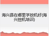 海兴县在哪里学挖机好(海兴挖机培训)