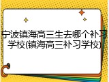 宁波镇海高三生去哪个补习学校(镇海高三补习学校)
