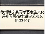 徐州睢宁县高考艺考生文化课补习班推荐(睢宁艺考文化课补习)