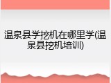 温泉县学挖机在哪里学(温泉县挖机培训)